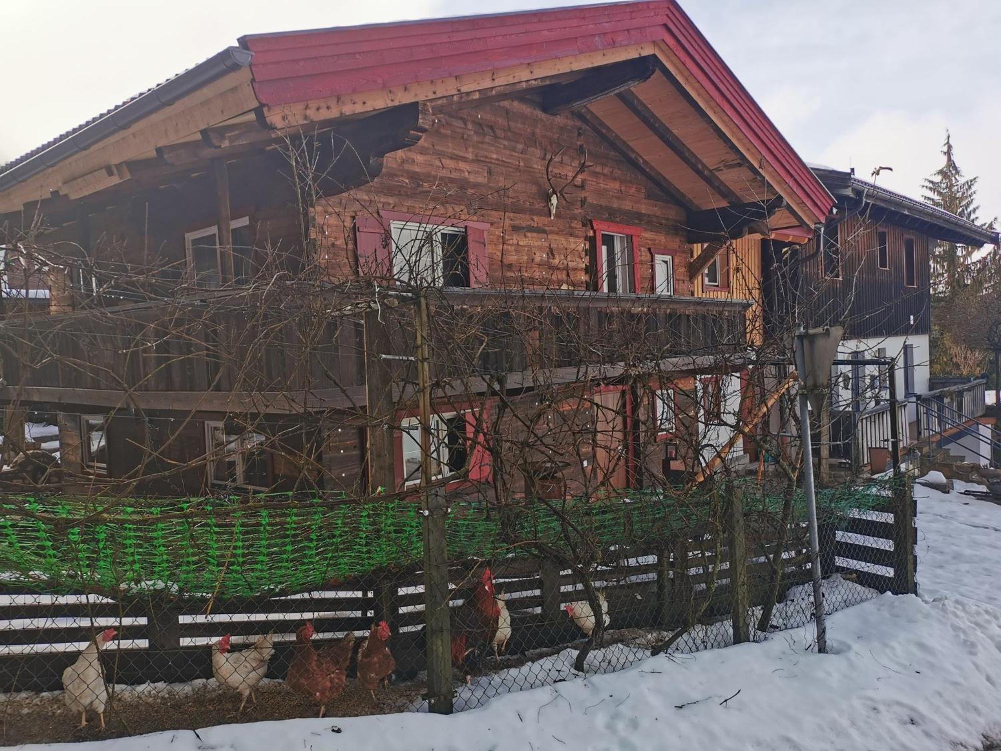 Kaiserhaus Harald Astner Ebbs Studio 2 Esterno foto